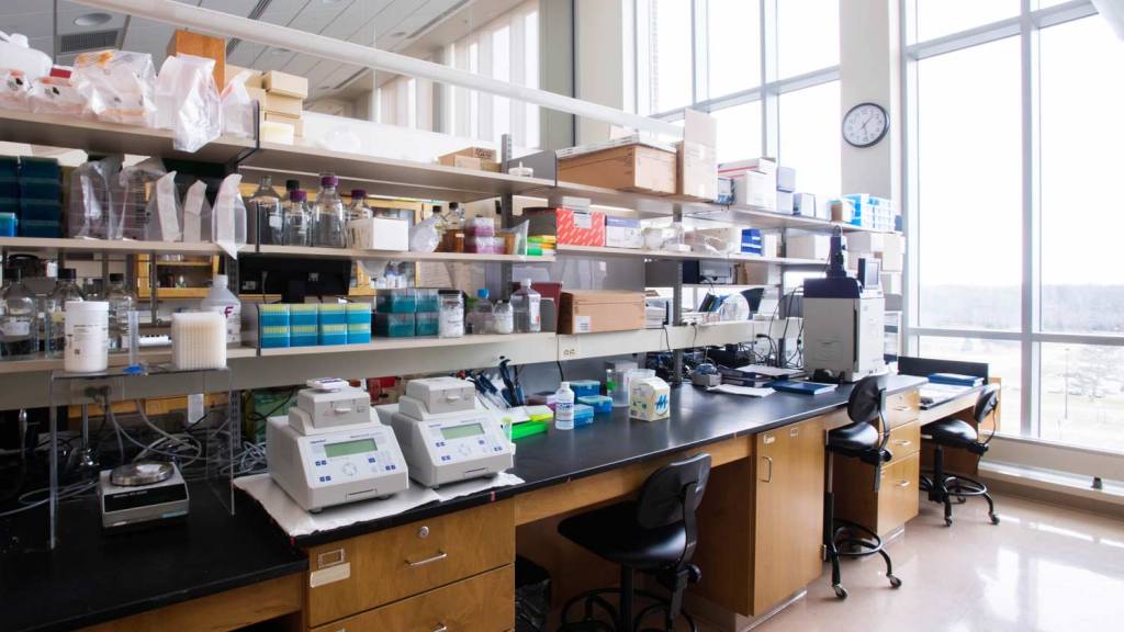 How to: prepare for your first day in the lab + what to expect ...